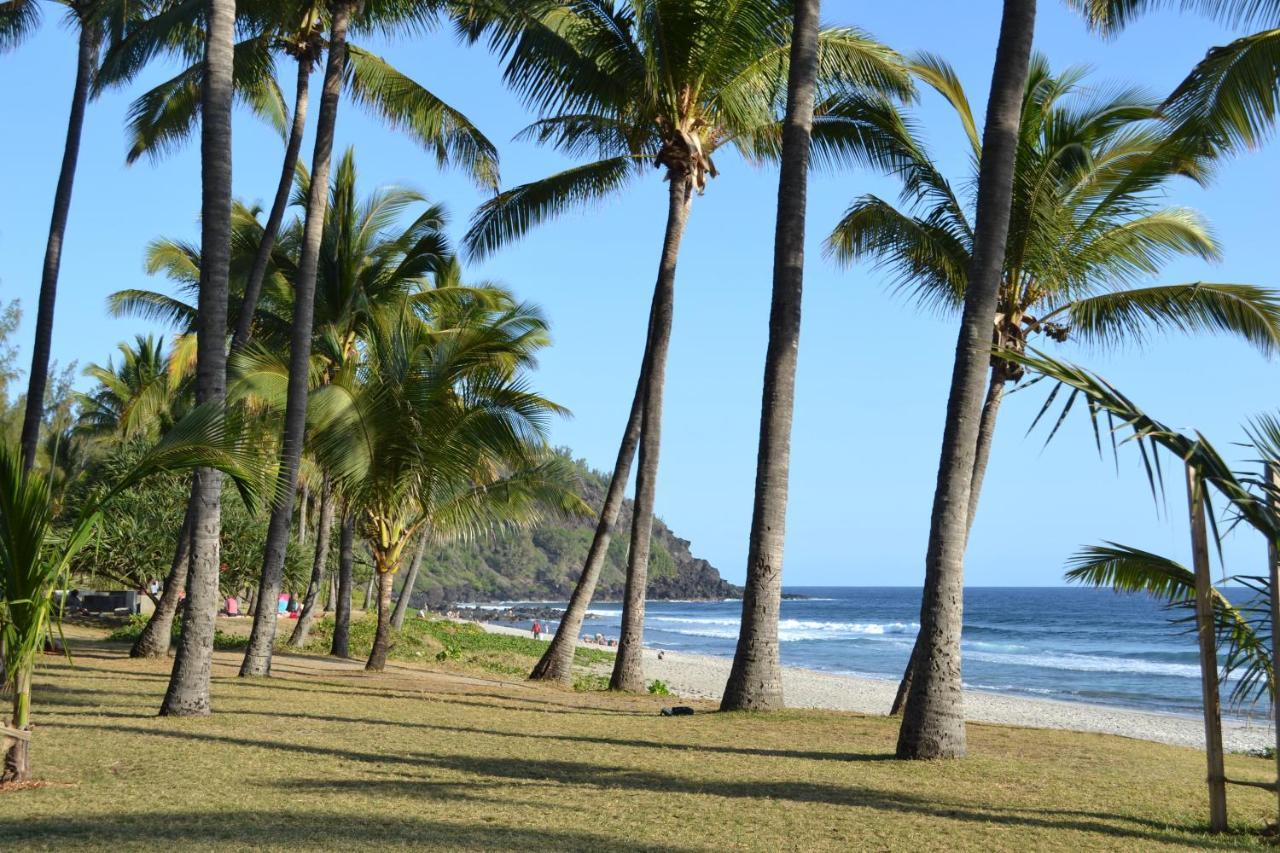 Villa Atypique Le Chat Perche De Grand Anse Petite Île Exterior foto