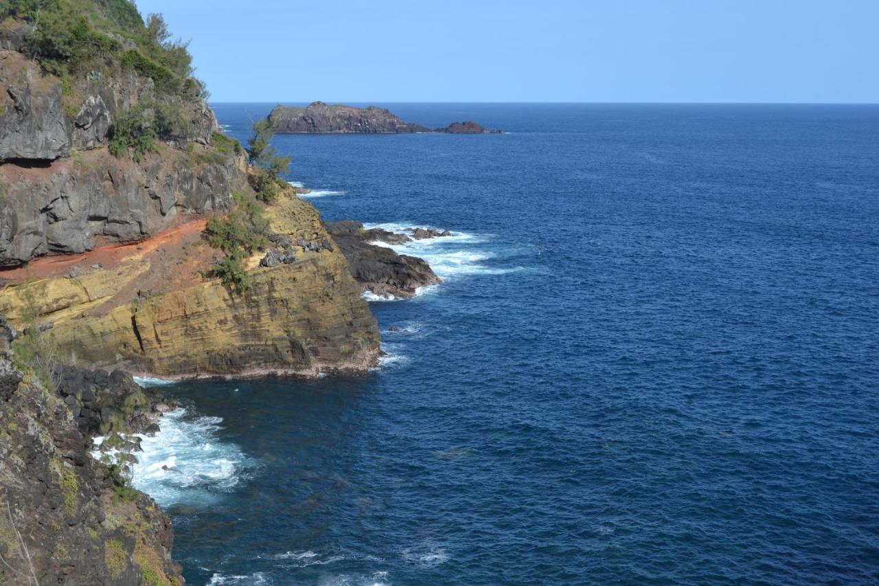 Villa Atypique Le Chat Perche De Grand Anse Petite Île Exterior foto